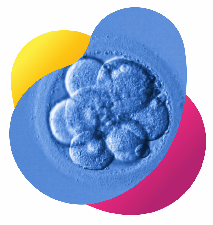 EmbryoScope (time-lapse culture and incubation)