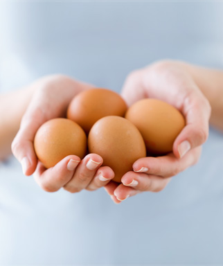 how many eggs does a woman produce in her life