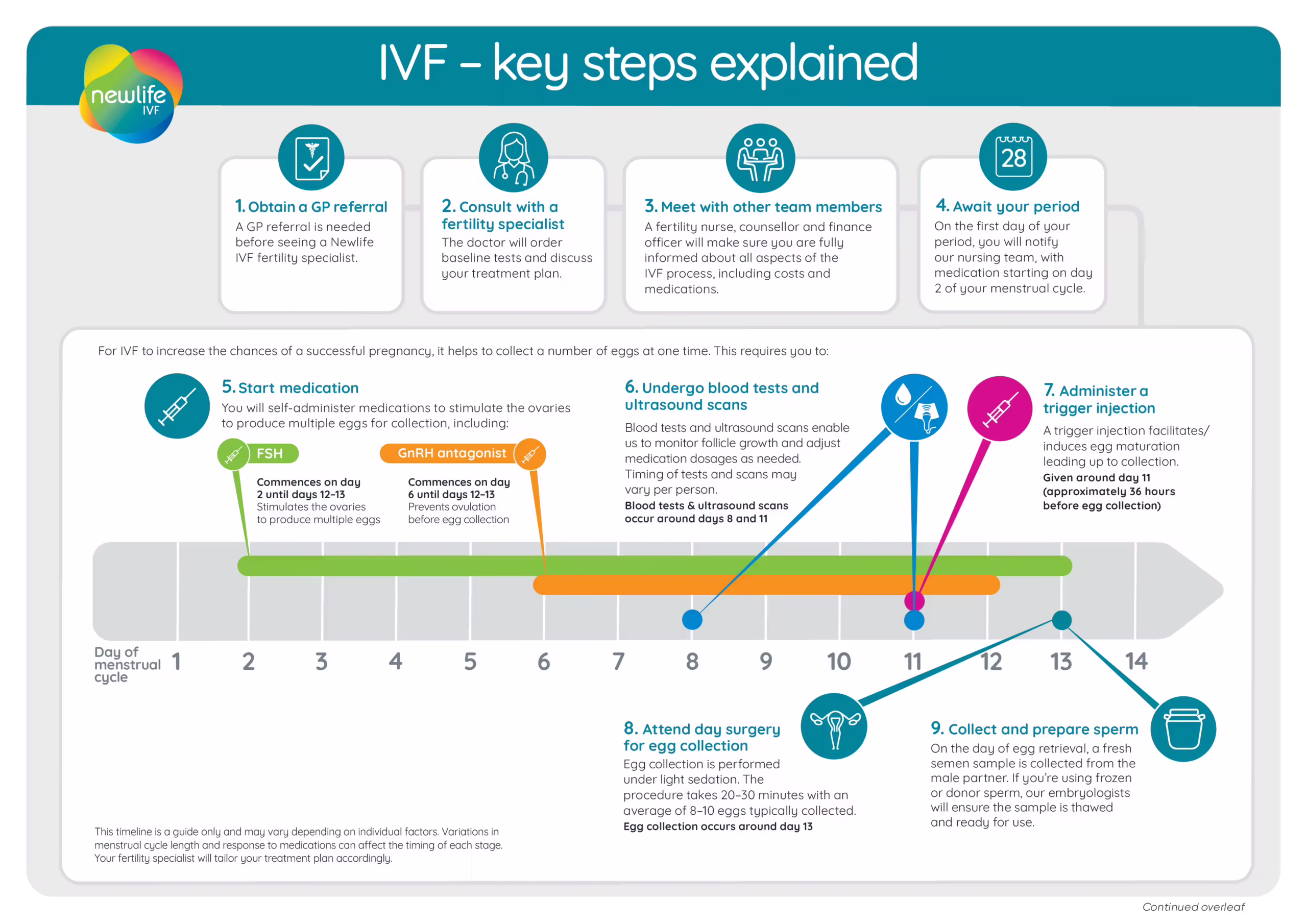Page one of a two-page infographic: Infographic titled ‘IVF – Key steps explained’ by Newlife IVF, outlining the first 9 steps of the IVF process. Steps 1–4 cover obtaining a GP referral, consulting a fertility specialist, meeting with a nurse, counsellor and finance officer, and awaiting your period. Step 5 details self-administering FSH medication from day 2 and a GnRH antagonist from day 6 to stimulate egg production. A timeline graphic tracks the menstrual cycle from days 1–14. Steps 6–9 cover blood tests and ultrasound scans around days 8 and 11, a trigger injection around day 11, day surgery for egg collection around day 13 (taking 20–30 minutes under light sedation), and sperm collection and preparation.