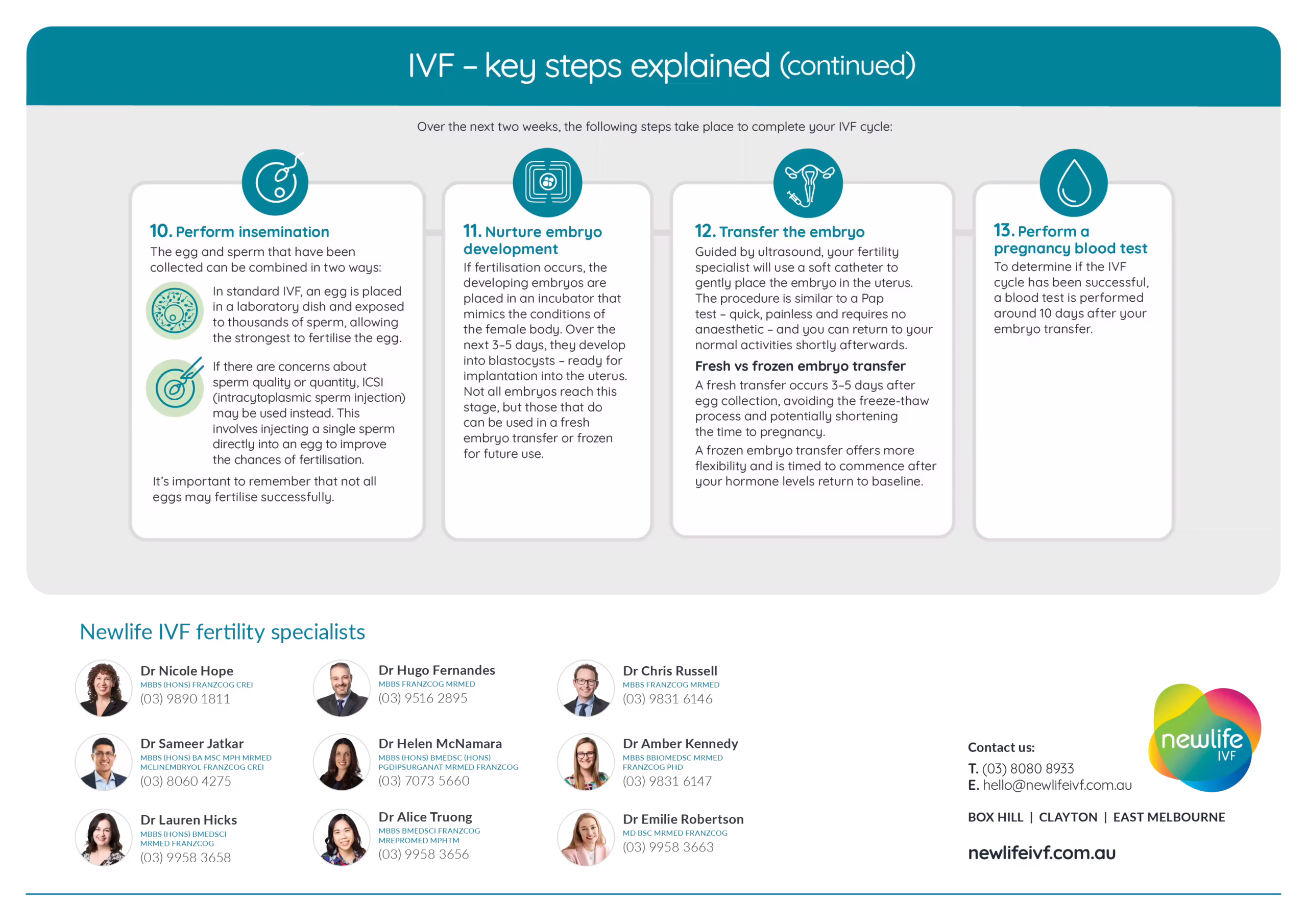 Page two of a two-page infographic: Continuation of infographic titled ‘IVF – Key steps explained’ covering steps 10–13. Step 10 explains insemination via standard IVF or ICSI. Step 11 describes embryo development in an incubator over 3–5 days into blastocysts. Step 12 covers embryo transfer via soft catheter guided by ultrasound, with details on fresh versus frozen transfer options. Step 13 outlines a pregnancy blood test performed 10 days after transfer. The bottom section features headshots and contact details for nine Newlife IVF fertility specialists, with clinic locations listed as Box Hill, Clayton, and East Melbourne.